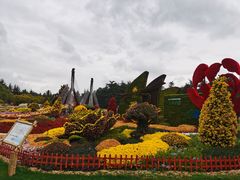 -共青国家森林公园-售票处