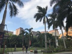 -三亚湾红树林度假世界(木棉酒店)