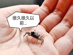 -南汇新城海滩