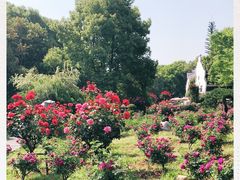 -东湖落雁景区