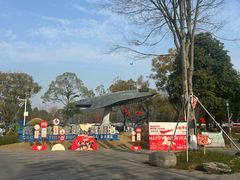 -成飞公园