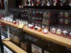 -猫咪博物馆(顶澳仔猫街店)