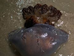 -北戴河东海水浴场