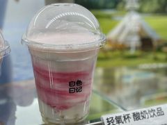 -白色日记·手作酸奶(麦凯乐店)