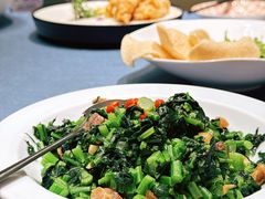 清炒板蓝根-玖融湖院(河东六纬路店)