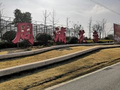 -周浦花海-停车场
