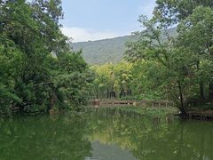 -宝岩生态观光园