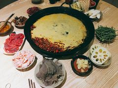 红汤锅底-肥龙火锅(南坪店)