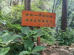 -寂照庵