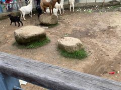 -上方山森林动物世界