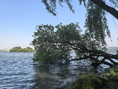 -杭州香格里拉·香宫中餐厅