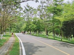 -松山湖梦幻百花洲
