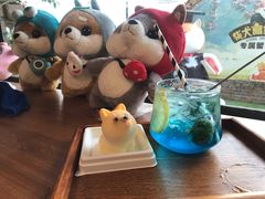 柴犬蛋糕-柴犬高等学院·狗咖·柴犬售卖·宠物训练