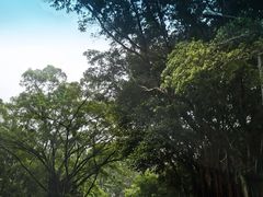 -福建鲤鱼洲酒店