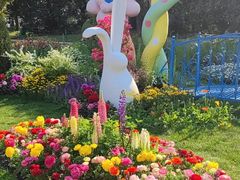 -上海共青森林公园