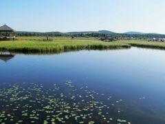 -塞罕坝国家级自然保护区