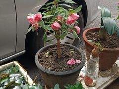 -品味居·首店·大连鲜活海鲜大连菜(东港店)