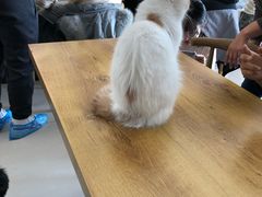 -平行世界·猫咖(首经贸店)