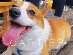 -桤木河湿地公园