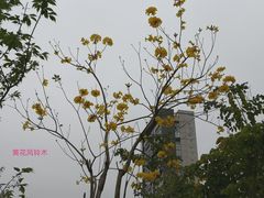 -金山公园