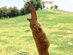 -嬉乐湾休闲旅游区
