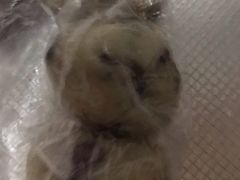 吉祥红枣年糕-小闺女儿肉龙(西湖道店)