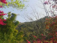 -温州永嘉书院