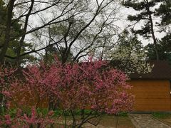 -长春市南湖公园