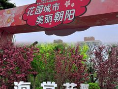 -元大都城垣遗址公园