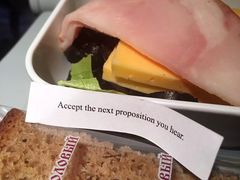 -谢列梅捷沃国际机场