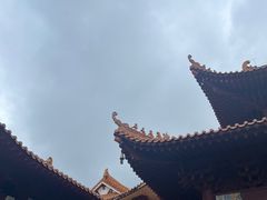 -深圳仙湖植物园