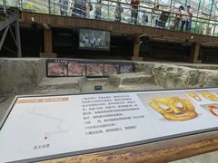 -金沙遗址博物馆