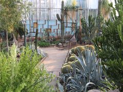 -北京植物园-展览温室