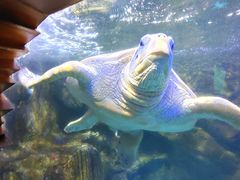 -太平洋海底世界