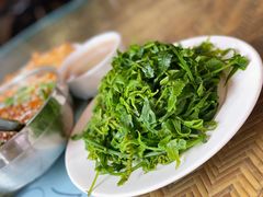 水蕨菜-岩保农家乐