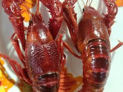 -霸王虾·麻辣小龙虾(清水河公园店)