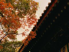 -香山公园
