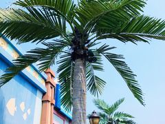 -北戴河圣蓝海洋公园