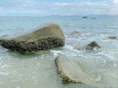 -玫瑰海岸文化旅游度假区
