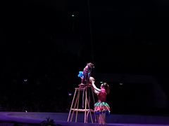 -灵玲国际马戏城