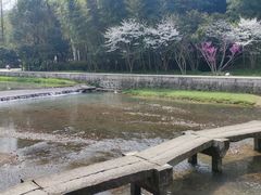 -兰亭风景区
