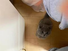 -客栈猫舍(中央北路店)