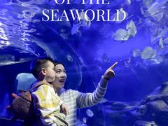 -江和美海洋公园