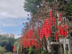 -人民公园(罗湖区)