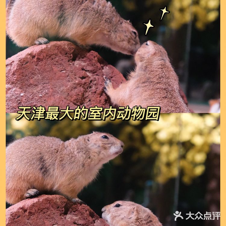 可以说是天津最大的室内动物园了