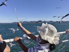 -海驴岛(荣成市)