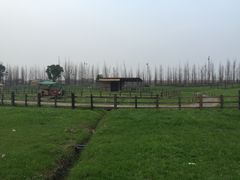 -田园东方蜜桃村的田野营地