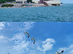 -威海国际海水浴场旅游区