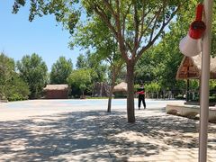 -南宫五洲植物乐园