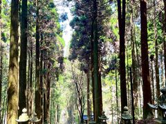 -上色见熊野座神社